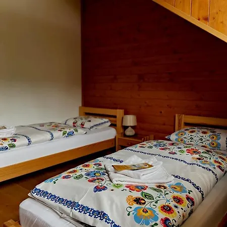 Pensionat Driecna 3*