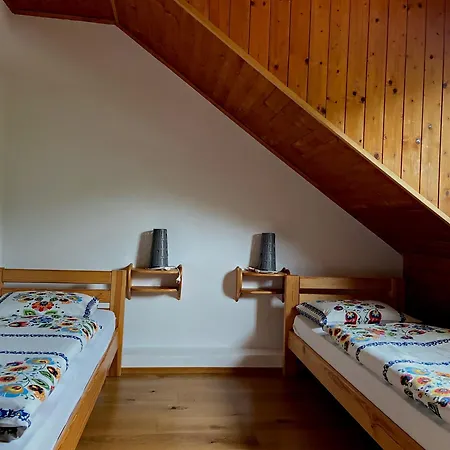 ゲストハウス Driecna Havaj